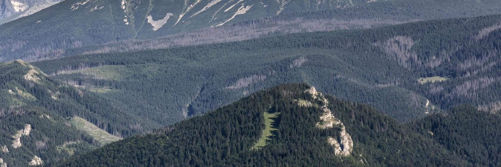 Szczyt górski Nosal